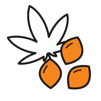 https://cannavate.nyc3.cdn.digitaloceanspaces.com/default.png https://cannavate.nyc3.cdn.digitaloceanspaces.com/default.png