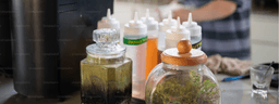How Cannabis Stores Ensure Product Quality and Safety How Cannabis Stores Ensure Product Quality and Safety